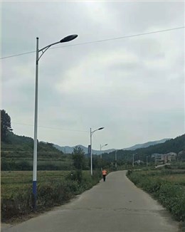 广西桂林市农村led路灯工程案例